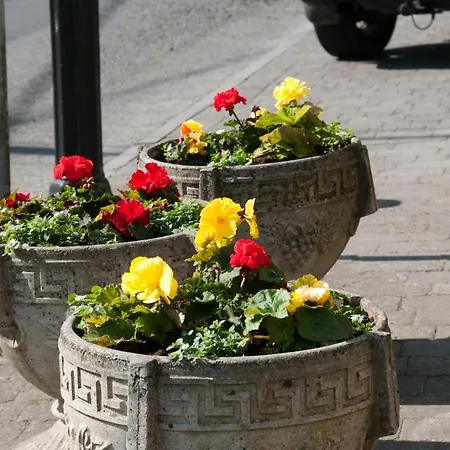 Slidala فندق مبيت وإفطار روس كري