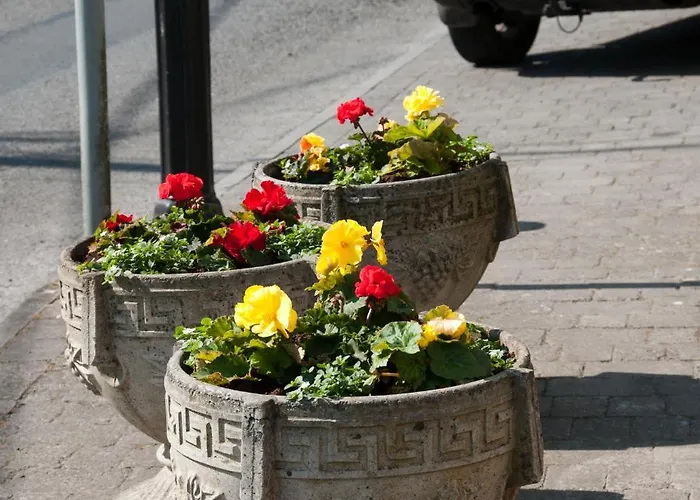 Slidala Bed & Breakfast Roscrea